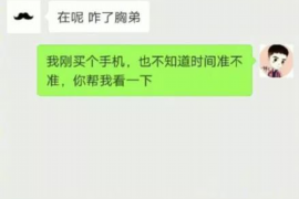 乐山为什么选择专业追讨公司来处理您的债务纠纷？